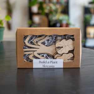 Build A Plant - Alocasia by Still Magnolia, pet accessory detail photo 3