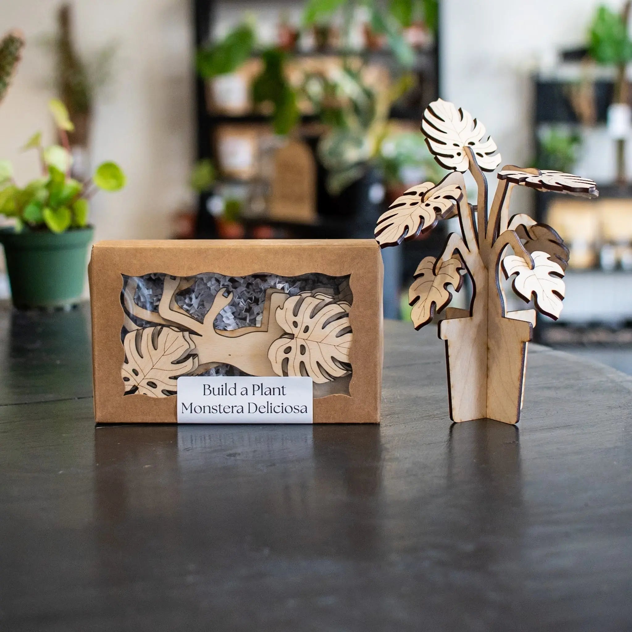 Wooden 3D Monstera Deliciosa plant model kit in box