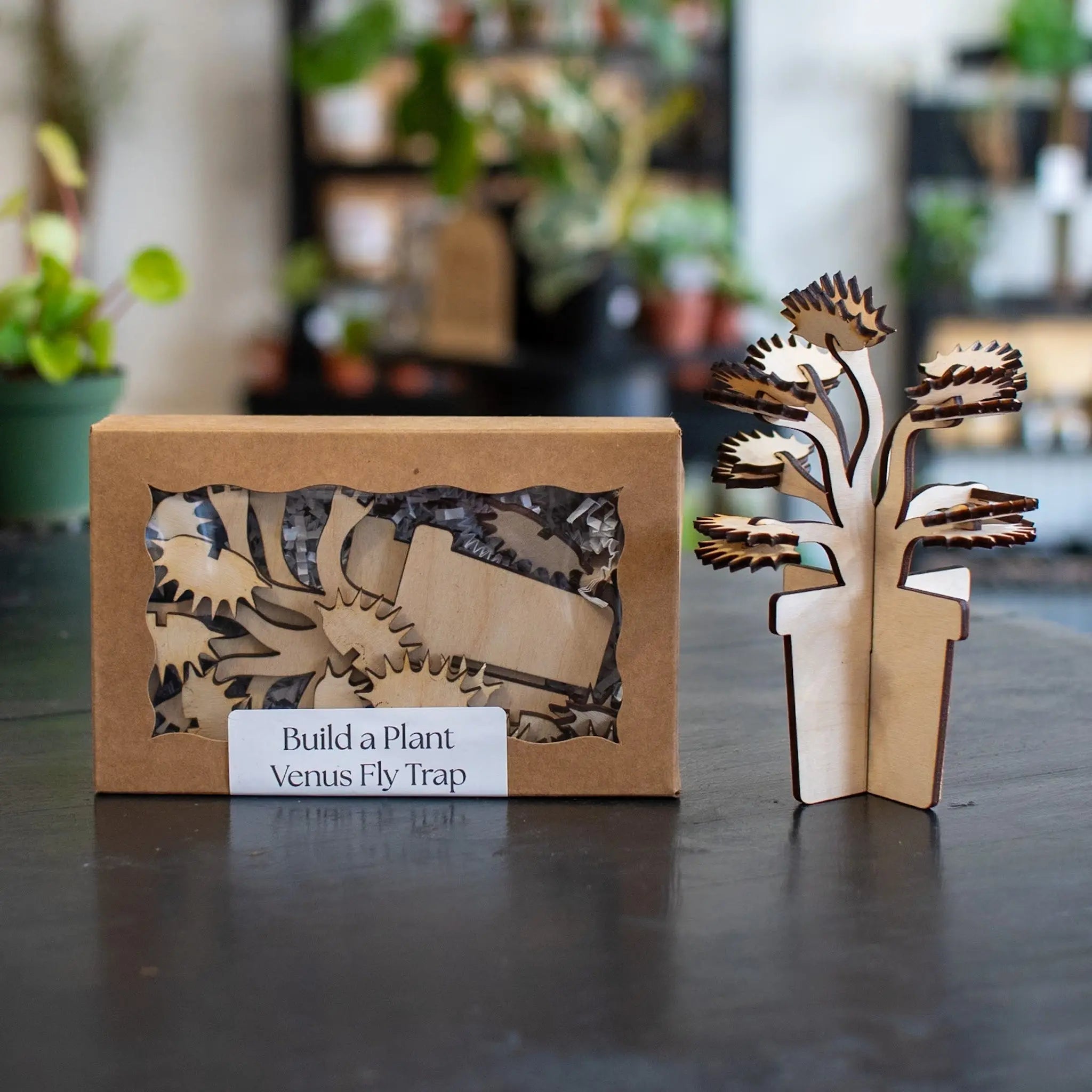 Wooden Venus flytrap 3D puzzle kit and assembled model.