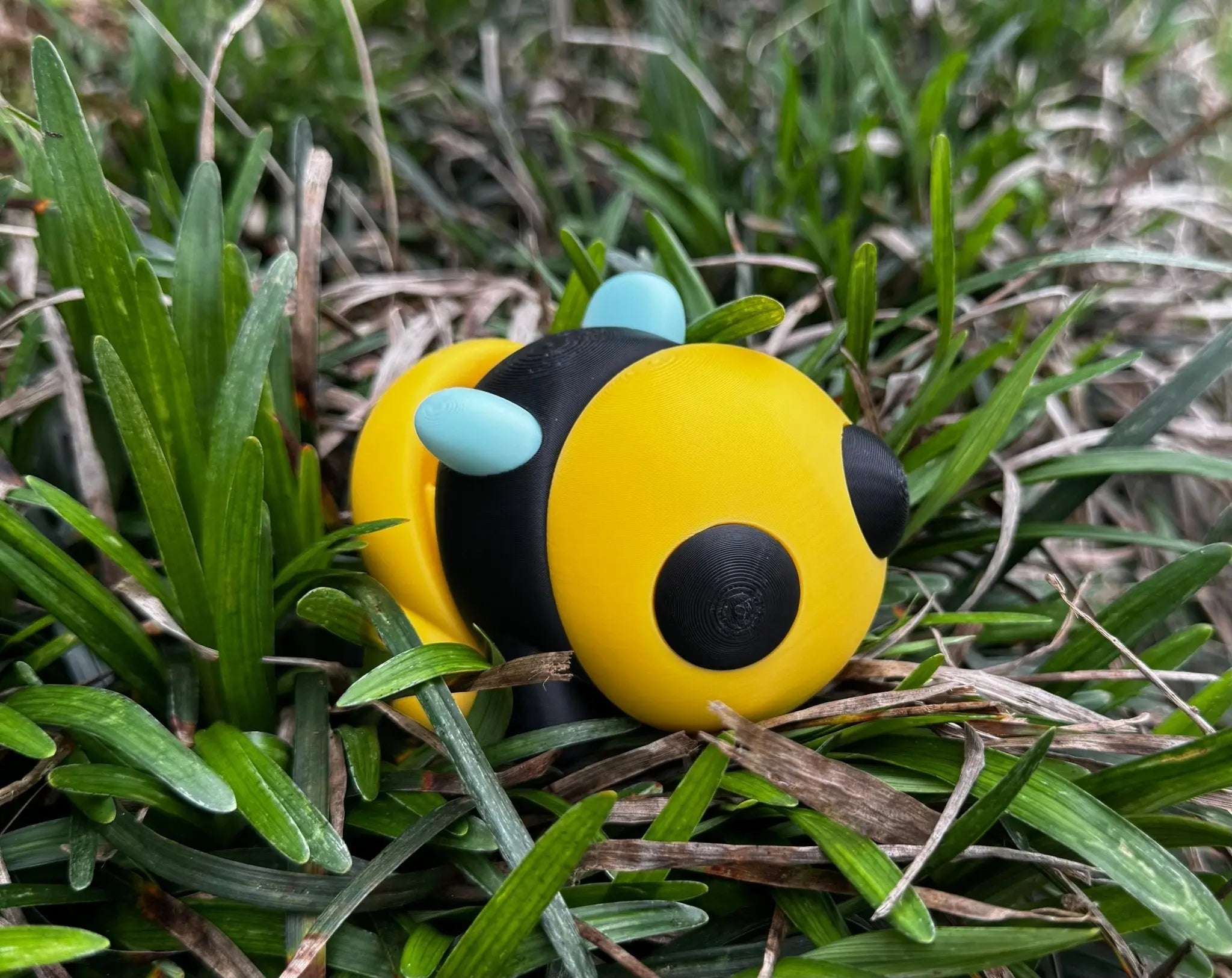 Bumblebee Fidget Toy – Large Sensory Toy - Main Street Collective