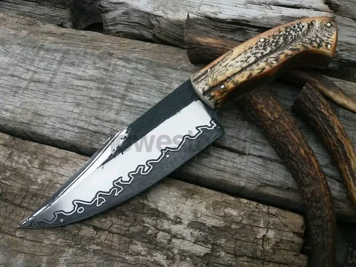 San Mai Bushcraft Hunter Knife with Stag Antler Handle for Field Dressing and Camp Use