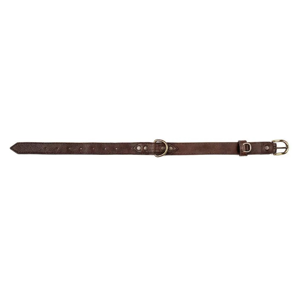 Campaign Leather Dog Collar by Mission Mercantile Leather Goods, handmade leather goods detail photo 5