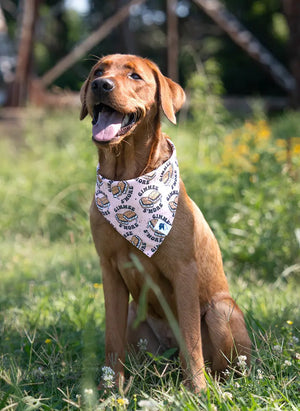 Camping & Smores Dog Bandana Dog Bandana Co.
