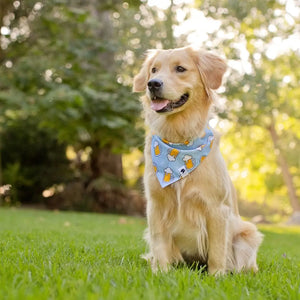 Cheers and Beers Dog Bandana by Dog Bandana Co., pet accessory detail photo 3