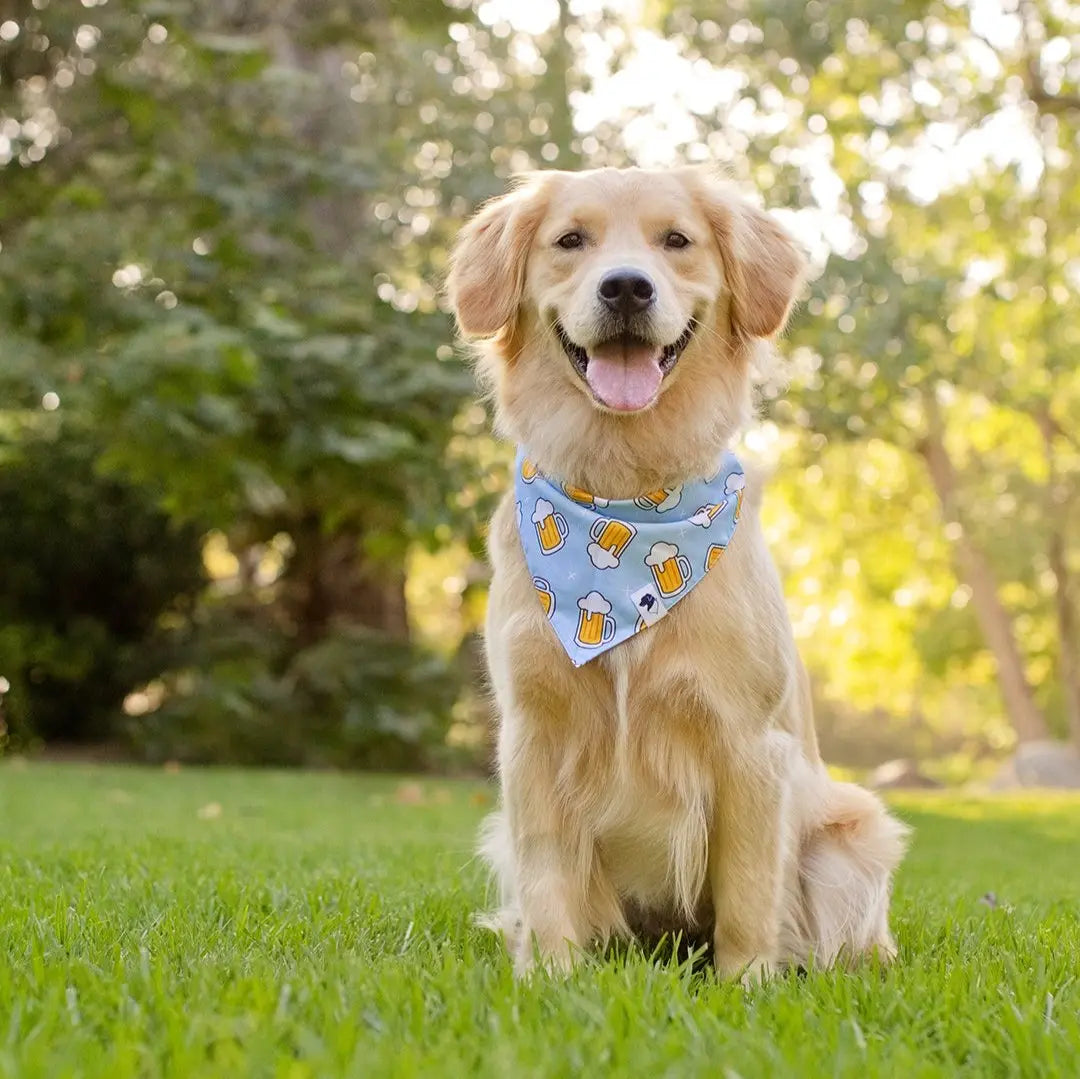 Cheers and Beers Dog Bandana Dog Bandana Co.