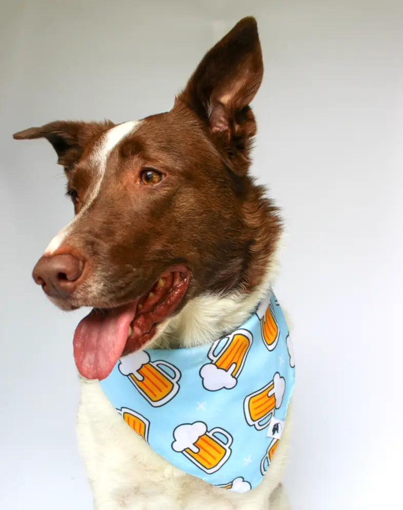 Cheers and Beers Dog Bandana by Dog Bandana Co., pet accessory detail photo 5