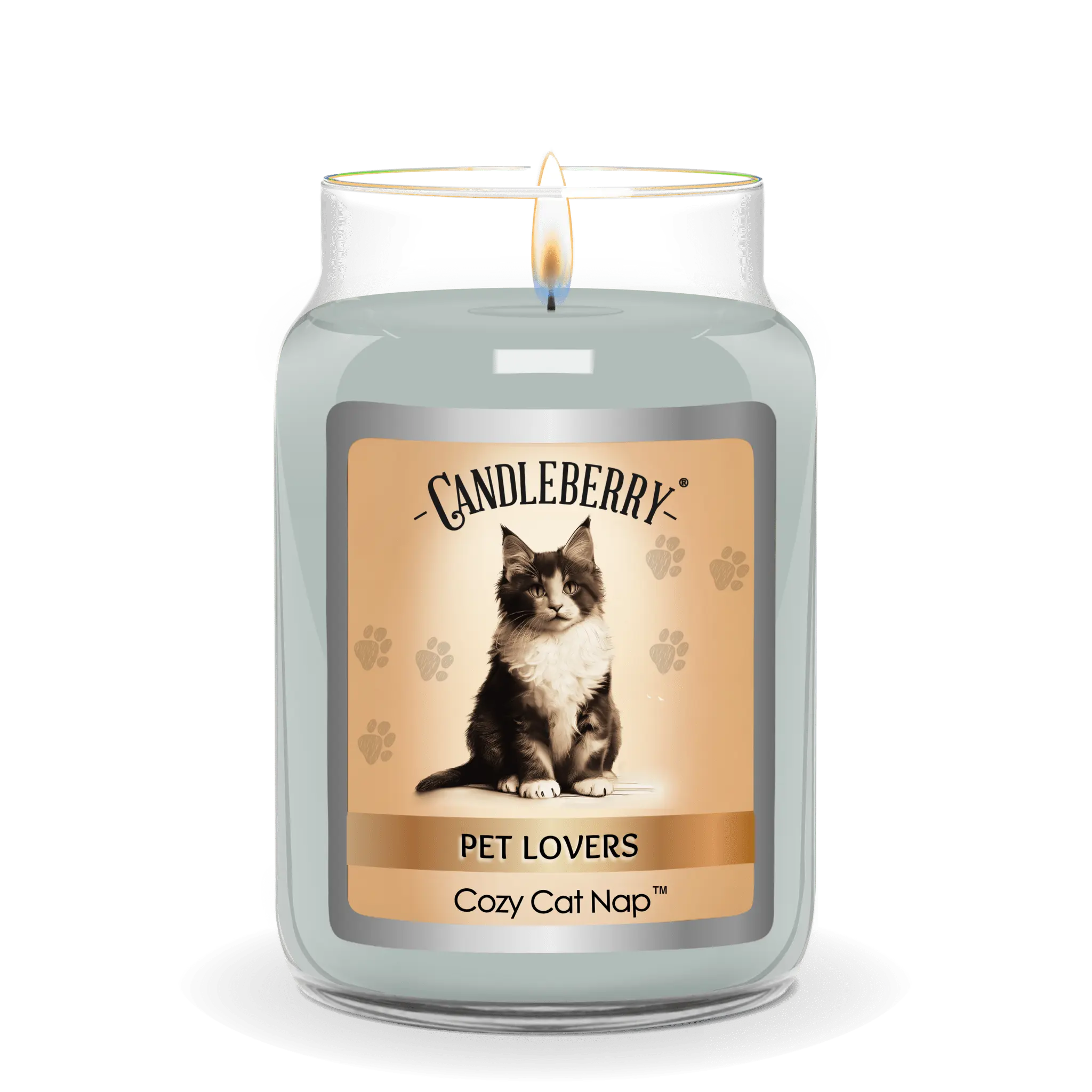 Cozy Cat Nap™ - Large Jar Candle (Collective) The Candleberry® Candle Company