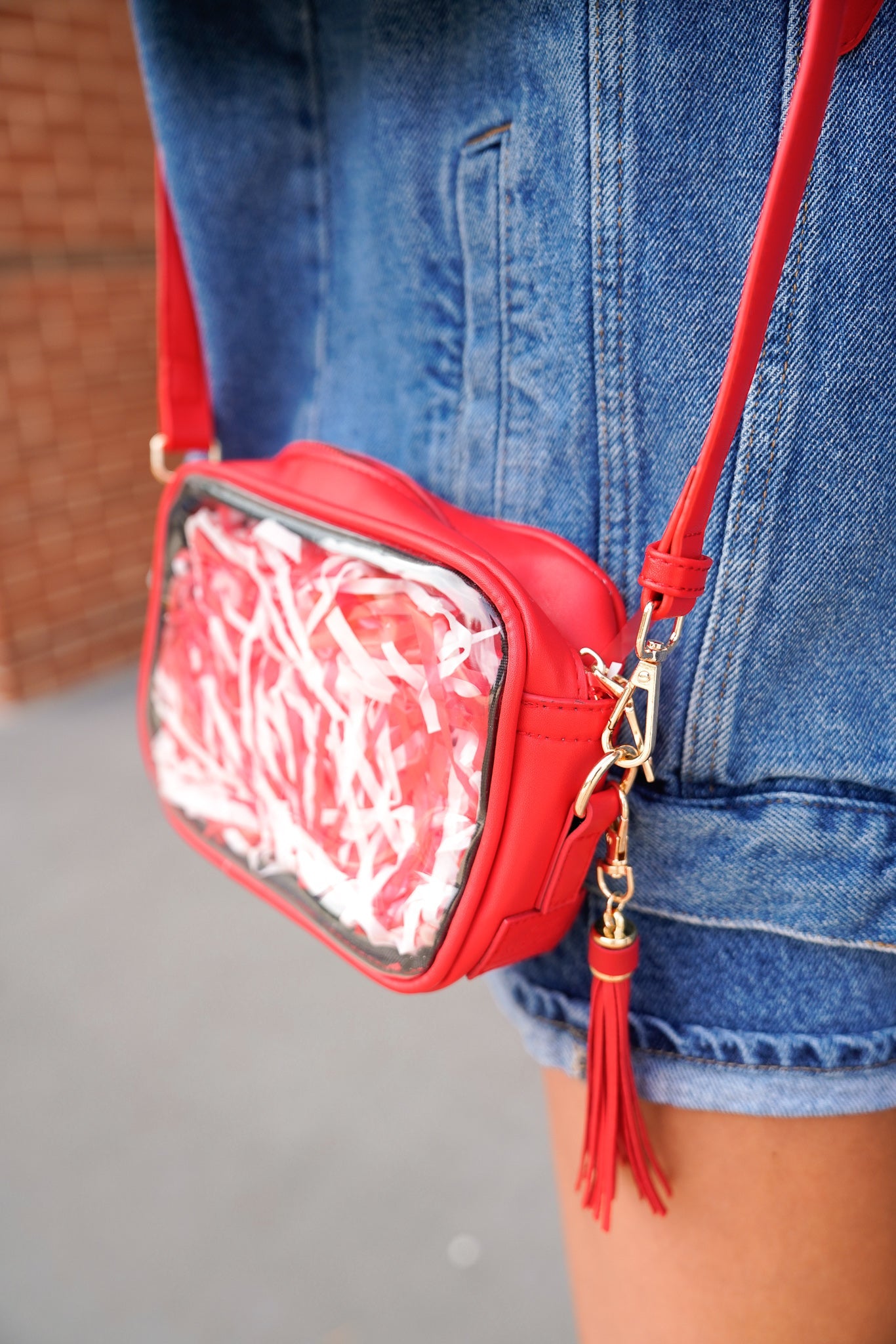 Stadium Approved Clear Purse With Tassle detail view by KenzKustomz