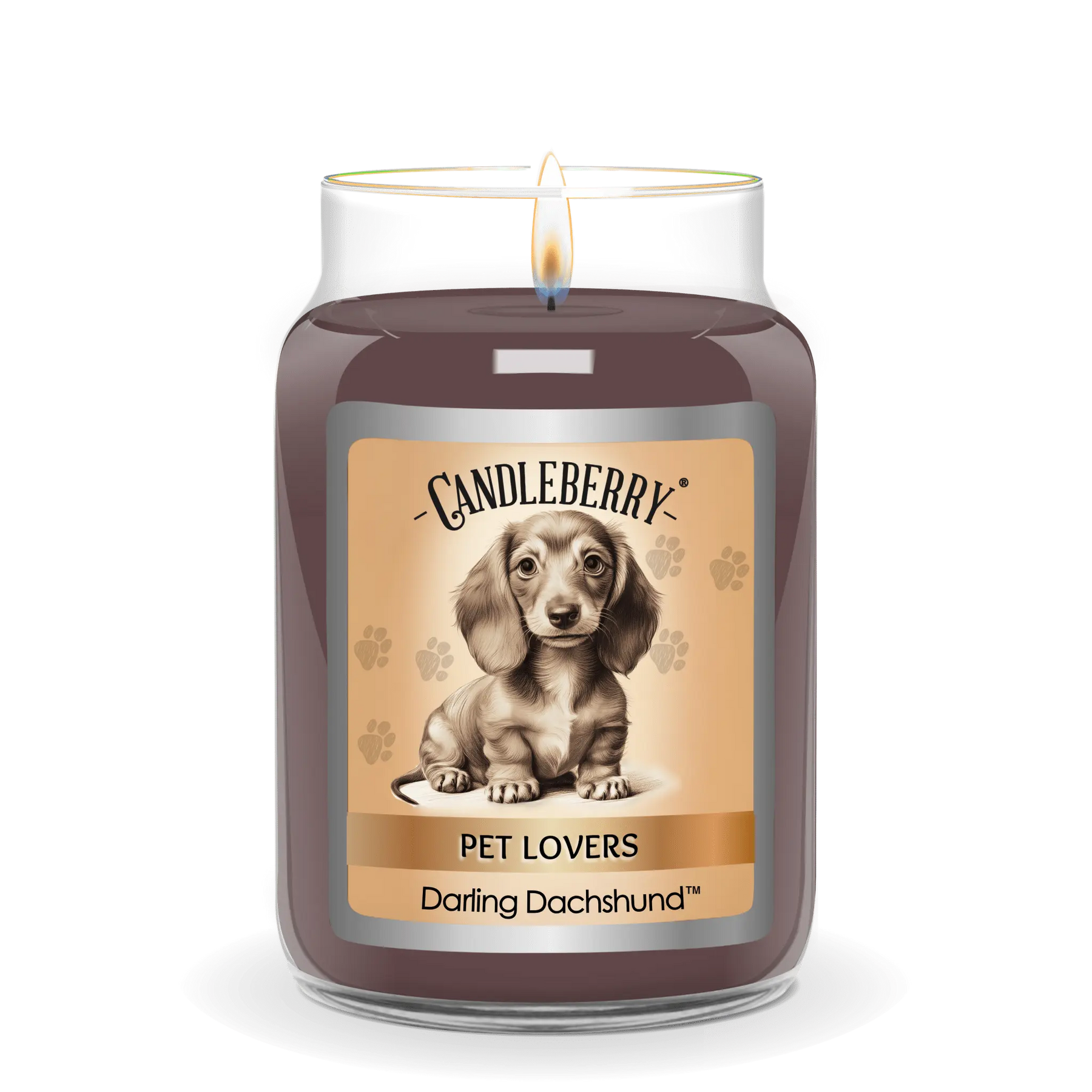 Darling Dachshund™ - Large Jar Candle (Collective) The Candleberry® Candle Company