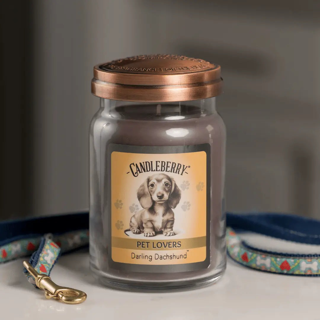 Darling Dachshund™ - Large Jar Candle (Collective) The Candleberry® Candle Company