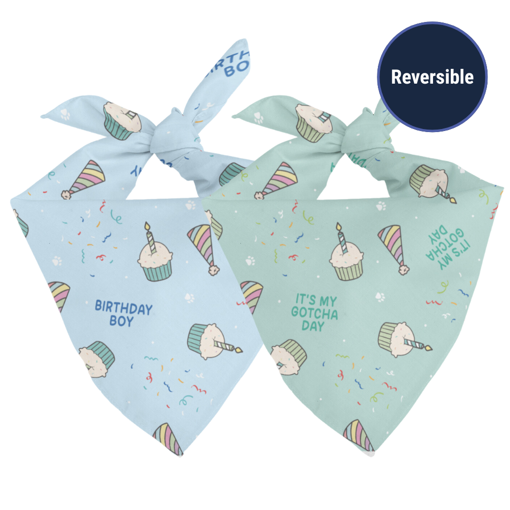 Birthday Boy & Gotcha Day Reversible Dog Bandana