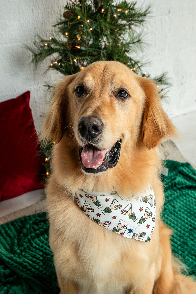 Holly Martini Christmas Reversible Dog Bandana by Dog Bandana Co., product view 5