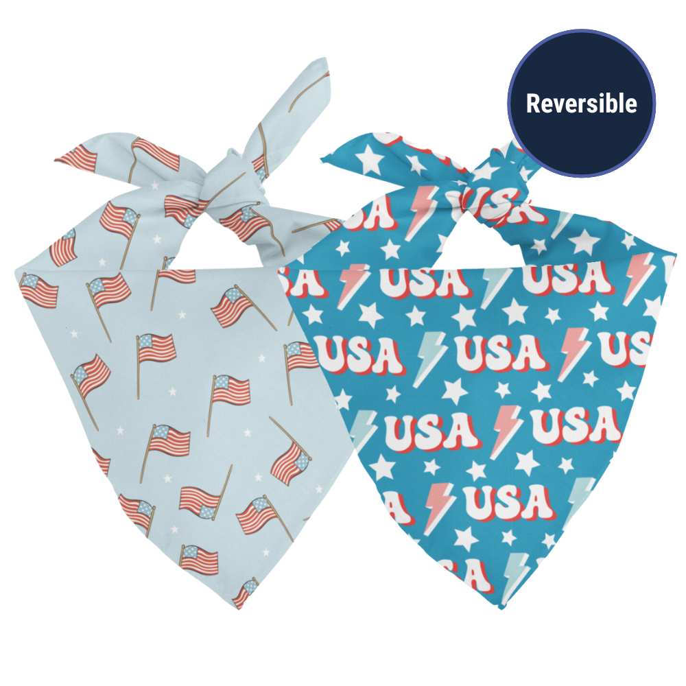 USA Reversible Dog Bandana
