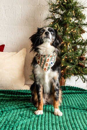 Gingerbread Christmas Reversible Dog Bandana by Dog Bandana Co., product view 4