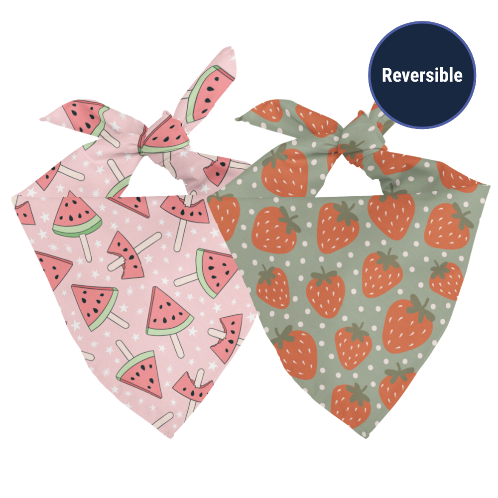 Watermelon & Strawberry Reversible Dog Bandana & Matching Scrunchie Set