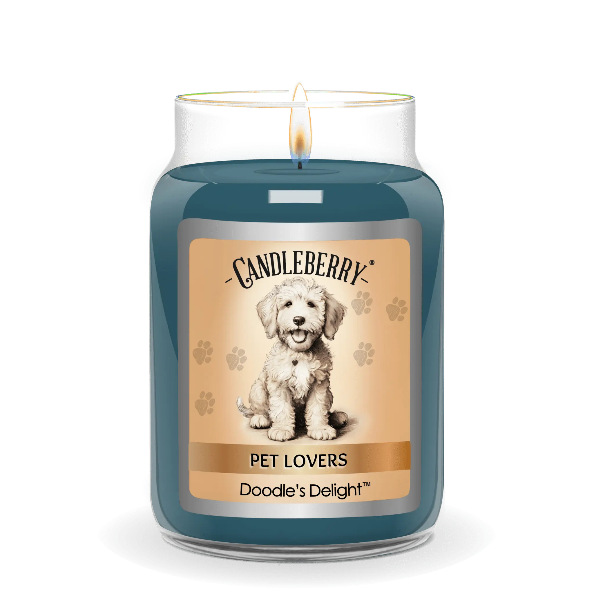 Doodle's Delight™ - Large Jar Candle (Collective) The Candleberry® Candle Company