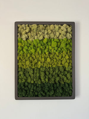 Vertical Gradient, Rectangle