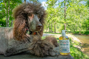 Esb Craft Beer Soap ~ 16 Oz. Liquid Soap by Essential Journeys, natural skincare detail photo 2