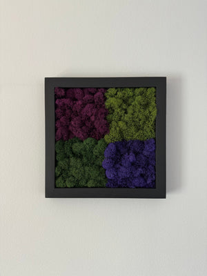 Purple Squares, Square