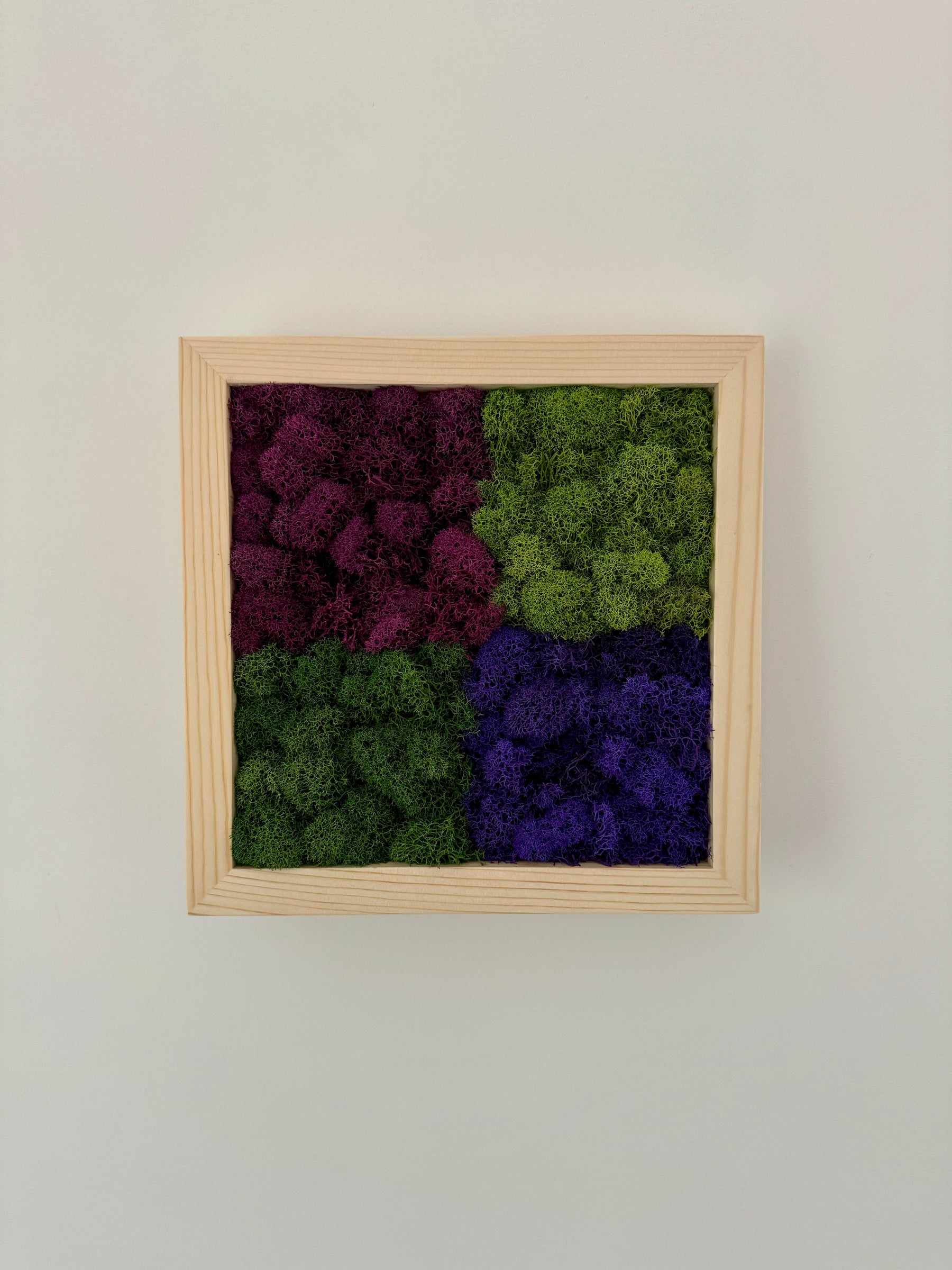 Purple Squares, Square
