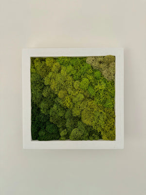 Diagonal Gradient, Square