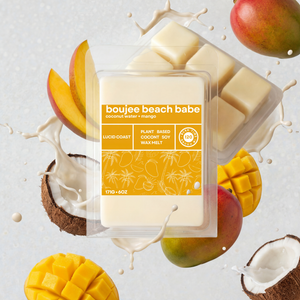 Boujee Beach Babe Wax Melt by Lucid Coast Co. product image 1