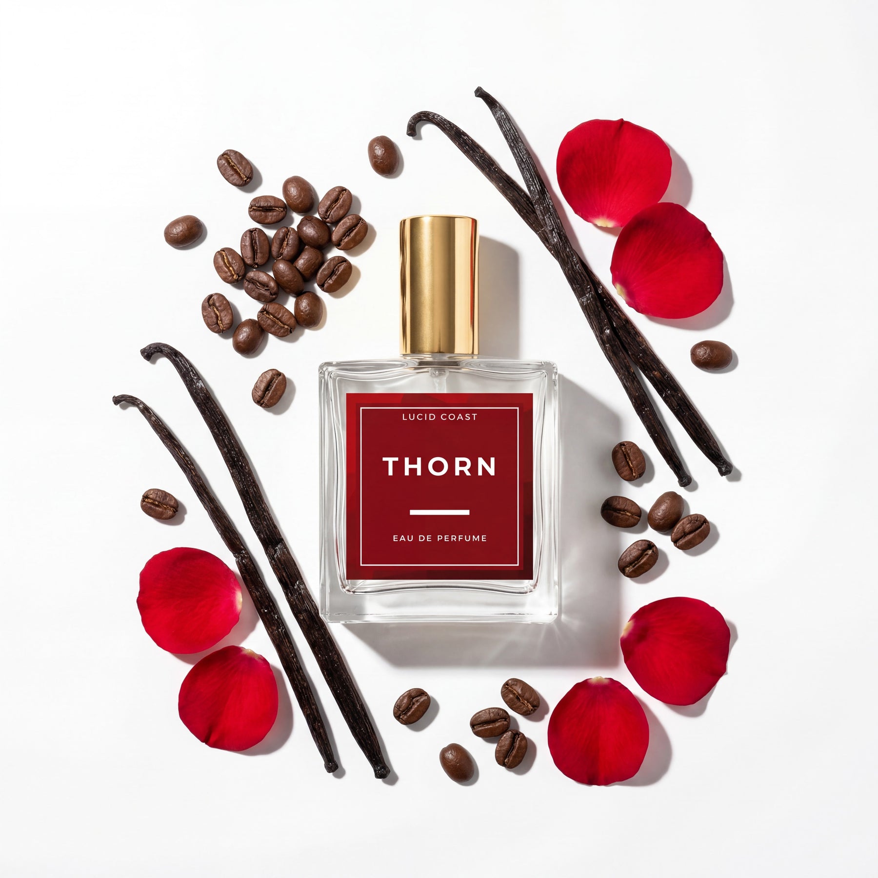 Thorn Eau de Parfum by Lucid Coast Co. product image 3