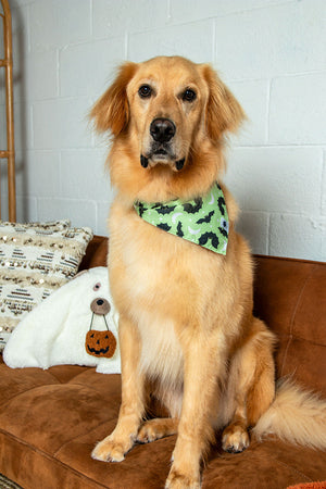 Boo & Bats Reversible Dog Bandana by Dog Bandana Co., product view 4