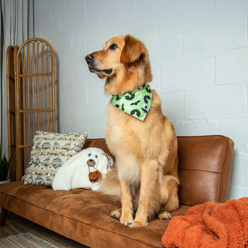 Boo & Bats Reversible Dog Bandana by Dog Bandana Co., product view 5