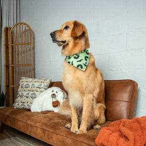 Boo & Bats Reversible Dog Bandana by Dog Bandana Co., product view 5