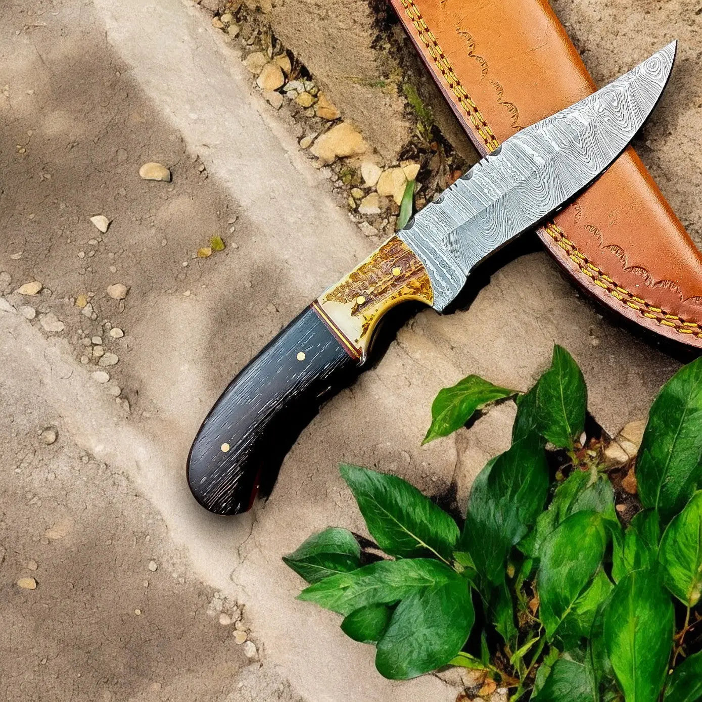 Handmade Damascus Hunting Knife – Wenge & Antler Handle by Damascus Knife Store, Damascus knife main product photo