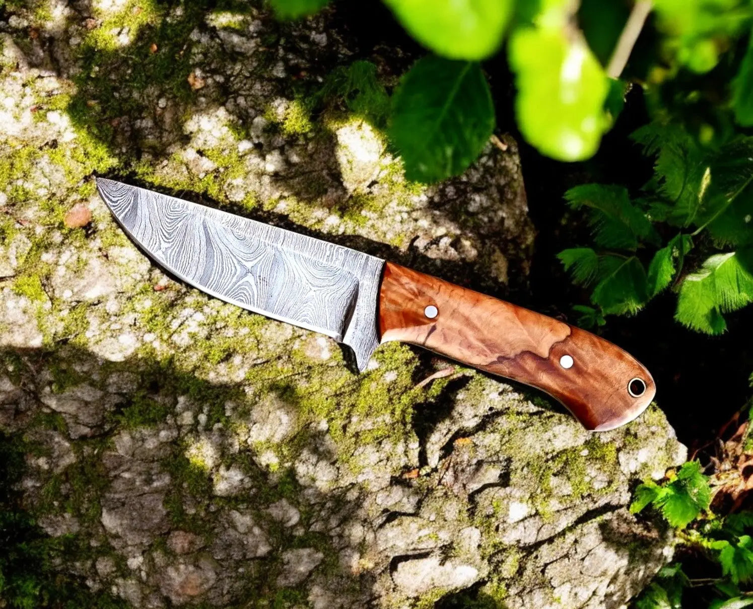 Handmade Damascus Steel Skinning Knife with Olive Wood Handle by Damascus Knife Store, Damascus knife detail photo 2