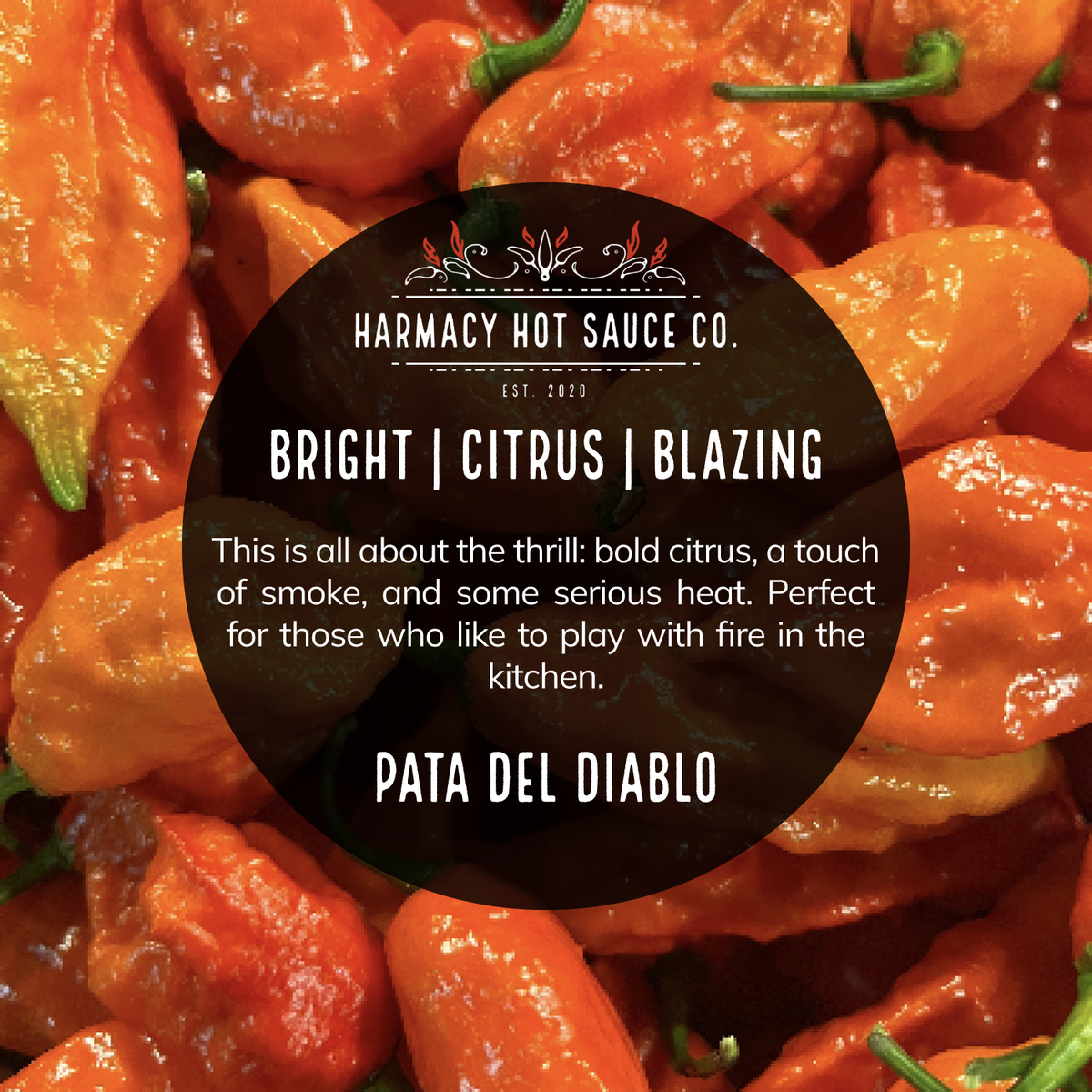 Extra Hot Best Sellers Variety Pack flavor and product details