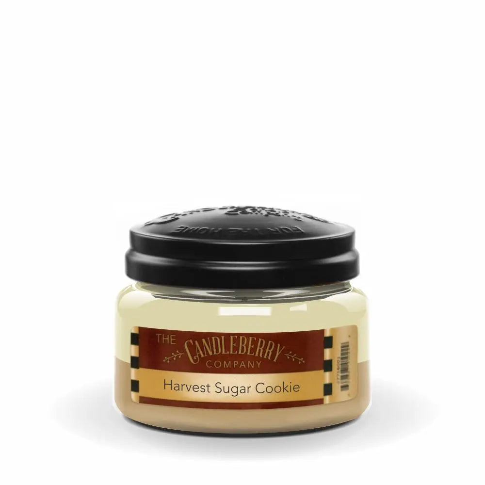 Harvest Sugar Cookie™, Small Jar Candle (Collective) by The Candleberry® Candle Company, scented candle main product photo