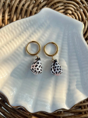 Hebrew Cone Shell Earrings - Gold by HALT, handmade jewelry detail photo 2