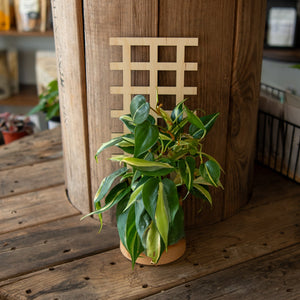 Plant Trellis - Grid by Still Magnolia, trellises main product photo