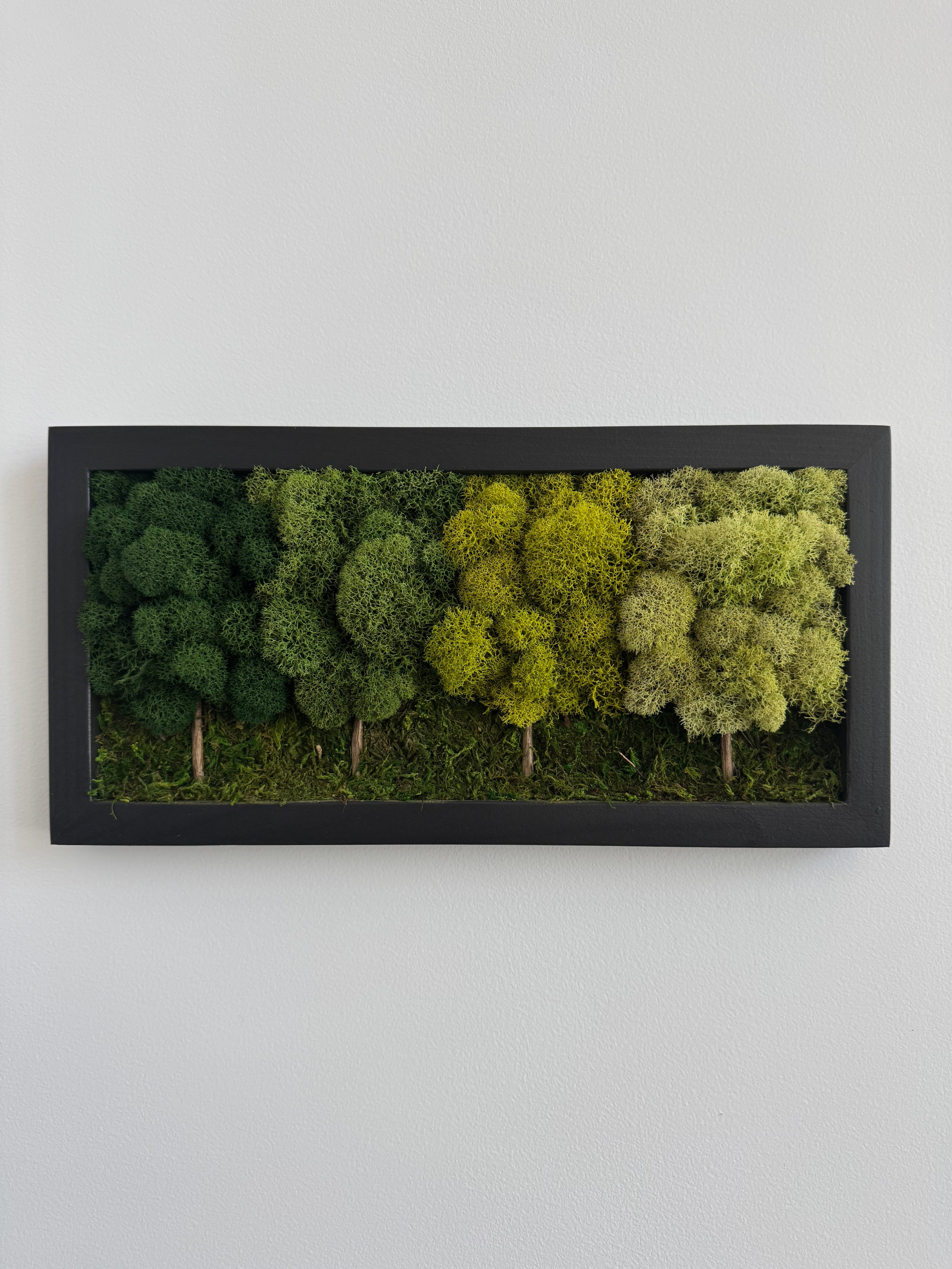 4 Tree Forest, Rectangle