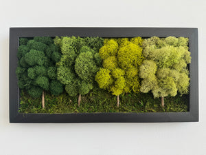 4 Tree Forest, Rectangle