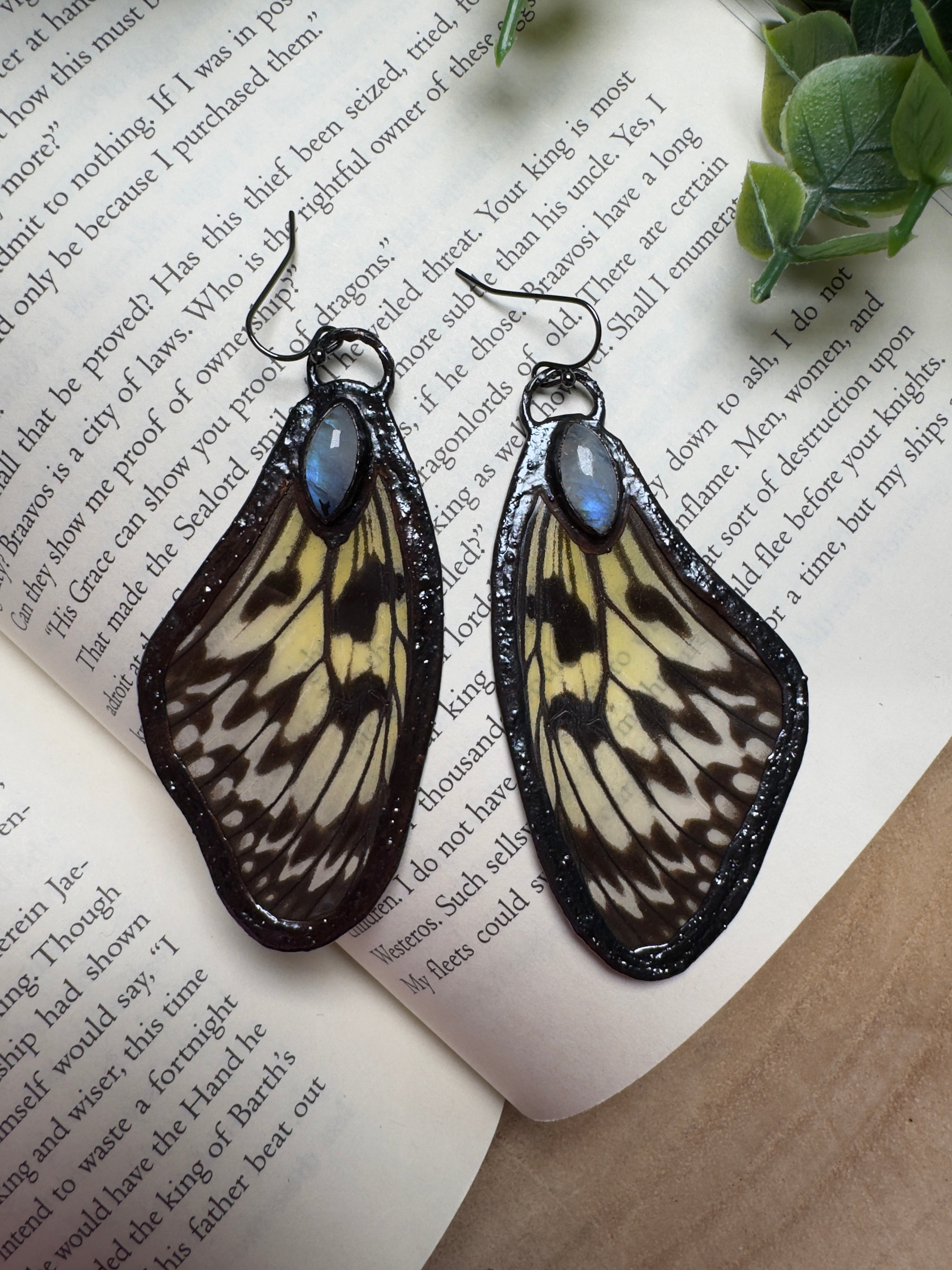 Butterfly Wing and Moonstone Earrings
