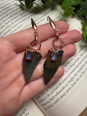 Sharks Teeth and Moonstone Earrings