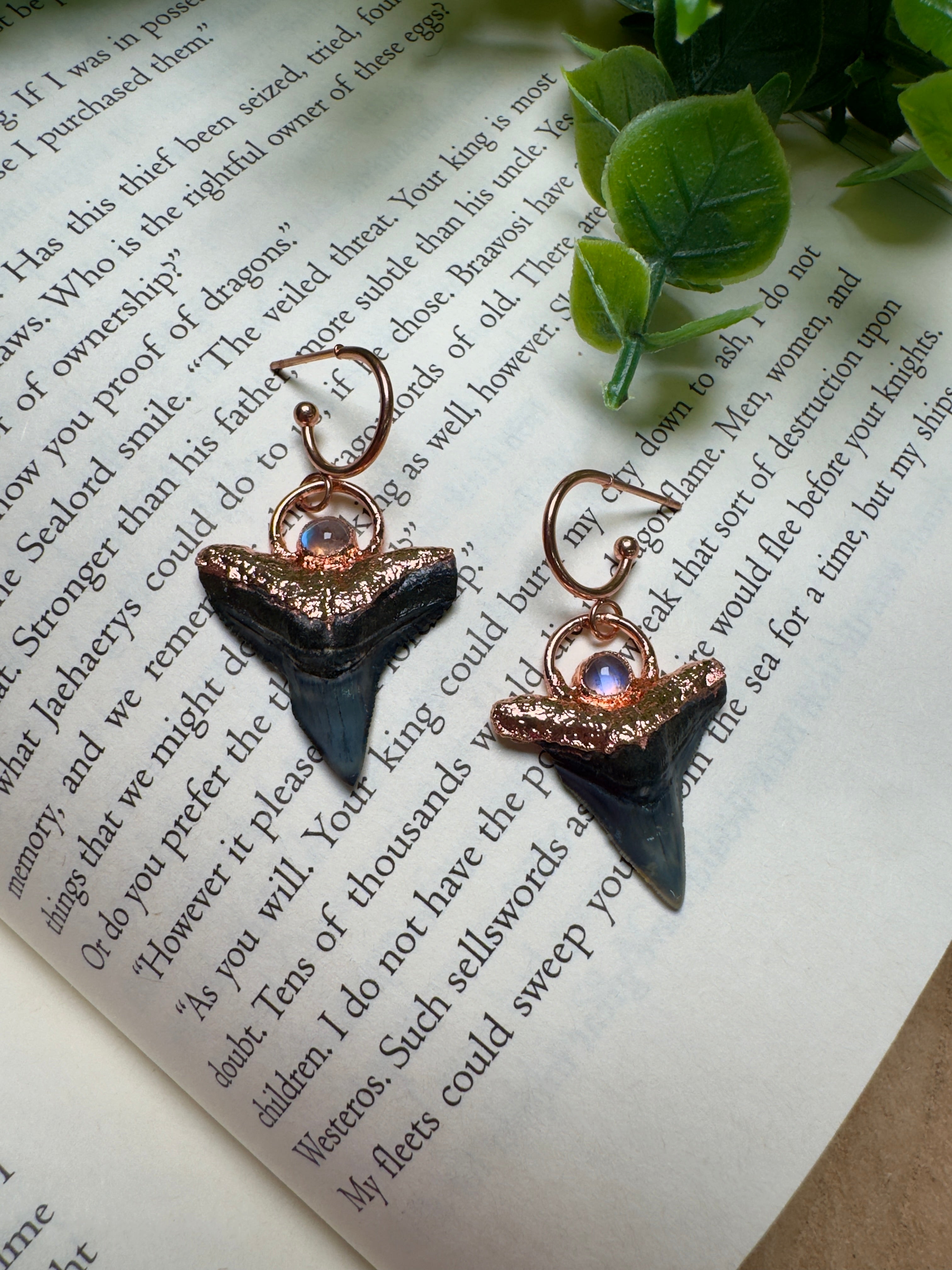 Sharks Teeth and Moonstone Earrings