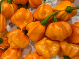 Pineapple Scotch Bonnett Chili Jam detail view by Powerful Pepper Company