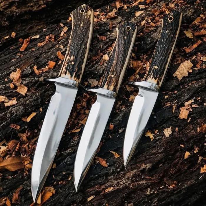 3-Piece Stag Handle Clip Point Knife Set with Brass Bolsters