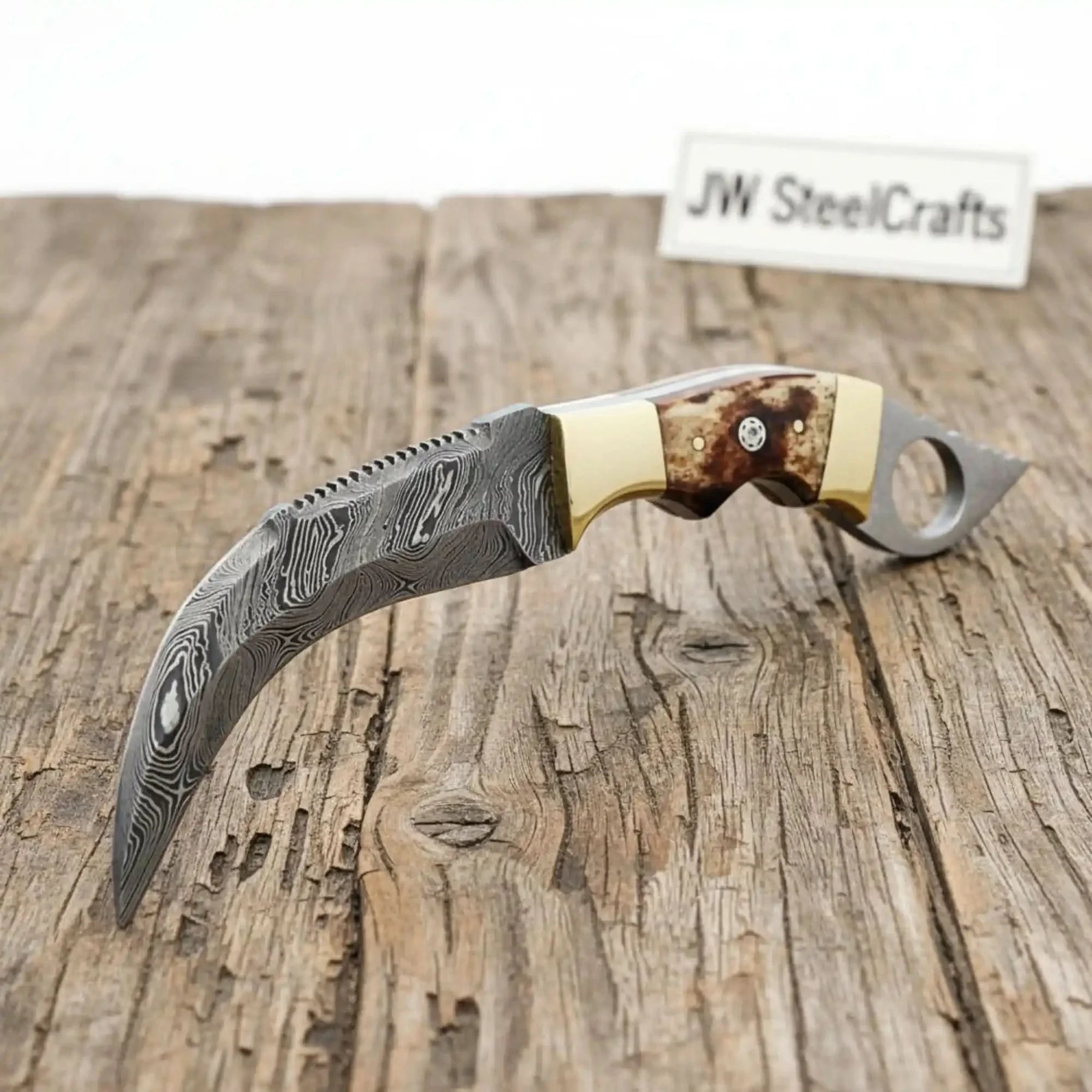 Damascus Steel Knife with Burned Bone Handle & Brass Bolster