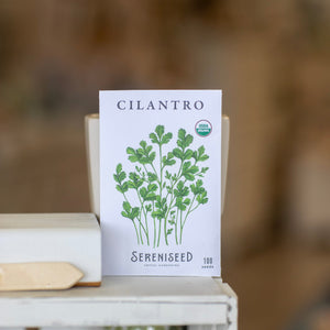 Ceramic Planter Gift Set