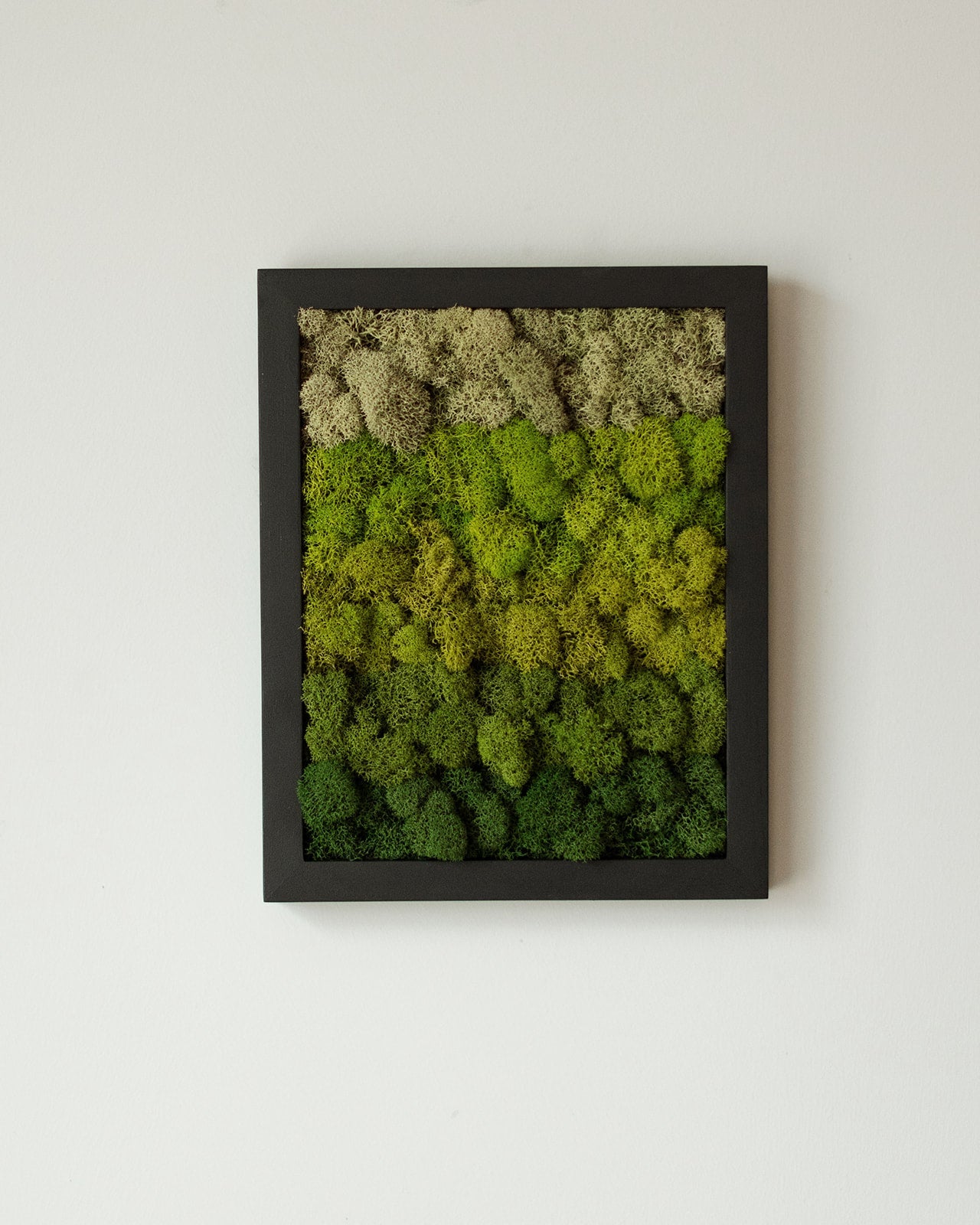 Vertical Gradient, Rectangle