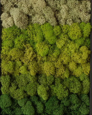 Vertical Gradient, Rectangle