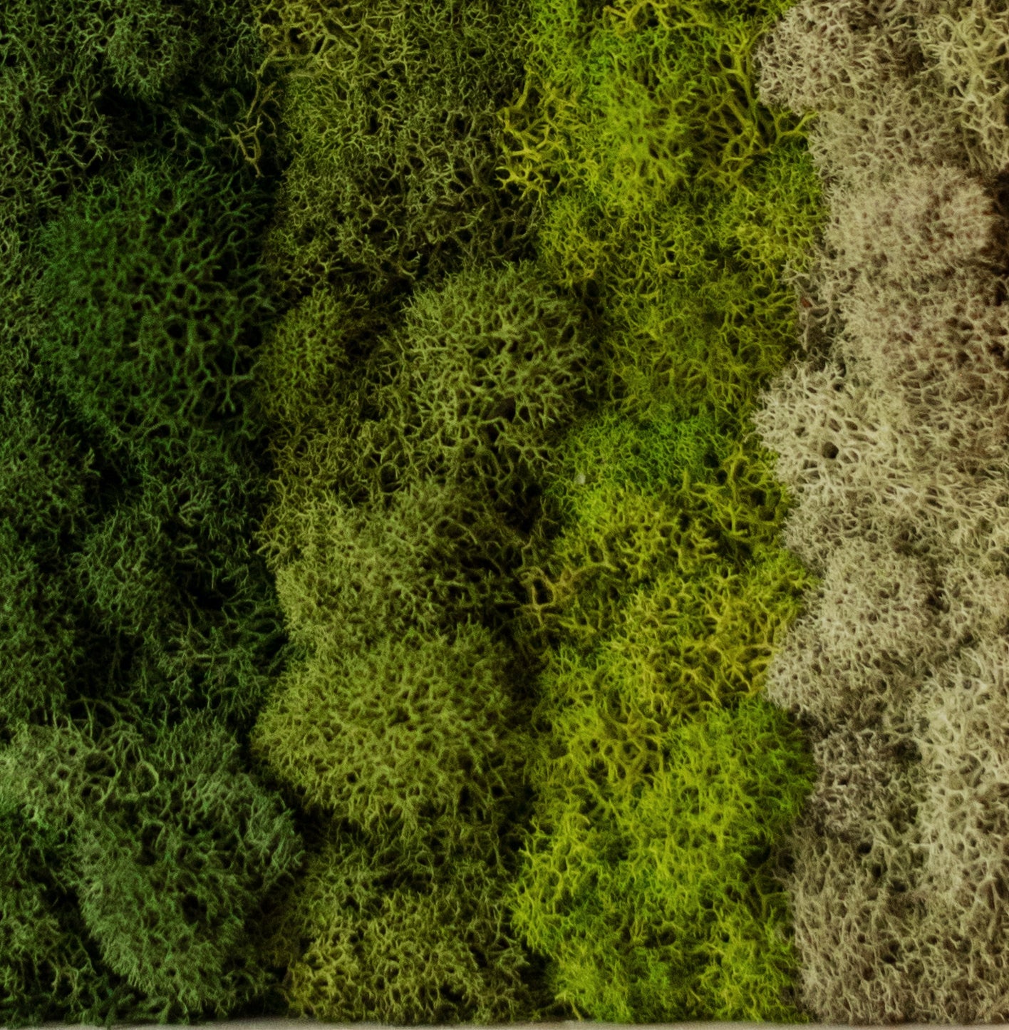 Horizontal Gradient, Square