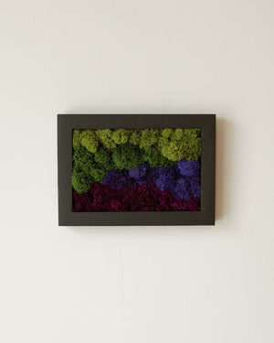 Purple Mountains, Rectangle