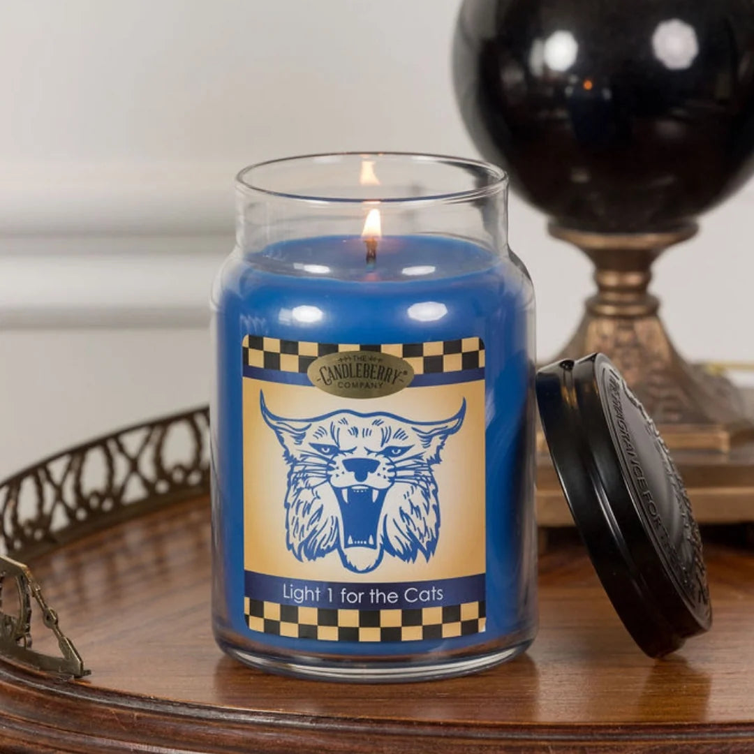 Light One For The Cats™, Large Jar Candle (Collective)